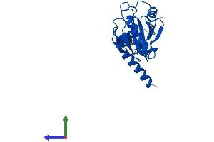 AlphaFold protein structure predicition of Mouse Recombinant Gpx8 Protein, UniprotID Q9D7B7