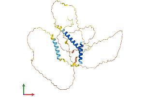 AlphaFold protein structure predicition of Mouse Recombinant Sohlh1 Protein, UniprotID Q6IUP1