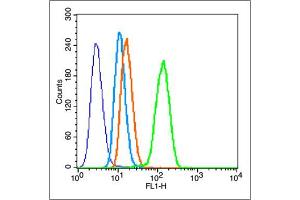 Hela cells werefixed with 70% ice-cold methanol overnight at 4℃, 0.