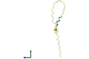 AlphaFold protein structure predicition of Human Recombinant HMGN4 Protein, UniprotID O00479