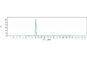 anti-Complement C2 antibody