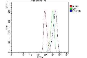 Flow Cytometry analysis of HEL cells using anti-MTHFD1L antibody (ABIN7601728). (MTHFD1L anticorps  (AA 43-833))