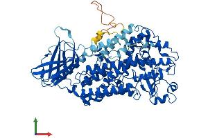 AlphaFold protein structure predicition of Mouse Recombinant Aloxe3 Protein, UniprotID Q9WV07