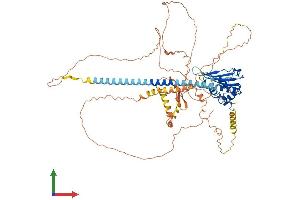 AlphaFold protein structure predicition of Human Recombinant TSPYL2 Protein, UniprotID Q9H2G4
