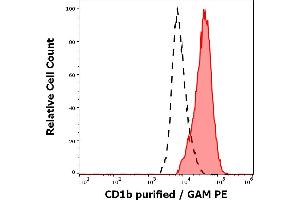 Separation of cells stained using anti-human CD1b (SN13) purified antibody (concentration in sample 9 μg/mL, GAM PE, red-filled) from cells unstained by primary antibody (GAM PE, black-dashed) in flow cytometry analysis (surface staining) of human stimulated (GM-CSF + IL-4) peripheral blood mononuclear cells. (CD1b anticorps)