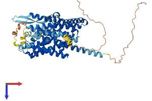 AlphaFold protein structure predicition of Mouse Recombinant Slc1a4 Protein, UniprotID O35874