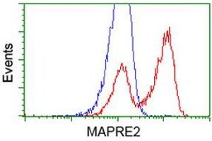 Flow Cytometry (FACS) image for anti-Microtubule-Associated Protein, RP/EB Family, Member 2 (MAPRE2) antibody (ABIN1499321) (MAPRE2 anticorps)