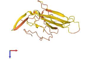 AlphaFold protein structure predicition of Human Recombinant ERVK11-1 Protein, UniprotID P61568