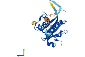 AlphaFold protein structure predicition of Mouse Recombinant Josd1 Protein, UniprotID Q9DBJ6