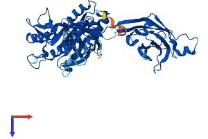 AlphaFold protein structure predicition of Human Recombinant CPNE1 Protein, UniprotID Q99829