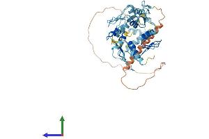 AlphaFold protein structure predicition of Human Recombinant ZNF718 Protein, UniprotID Q3SXZ3