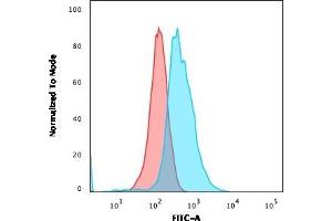 Flow Cytometric Analysis of MOLT-4 cells using CD1a Mouse Monoclonal Antibody (O10) followed by goat anti-Mouse IgG-CF488 (Blue); Isotype control (Red).