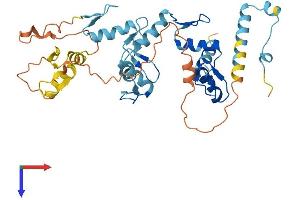 AlphaFold protein structure predicition of Human Recombinant ZNF670 Protein, UniprotID Q9BS34
