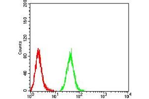 Flow Cytometry (FACS) image for anti-Isocitrate Dehydrogenase 1 (NADP+), Soluble (IDH1) (AA 156-298) antibody (ABIN5921398)