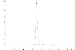 The purity of Biotinylated Human RGMa is greater than 95 % as determined by SEC-HPLC.