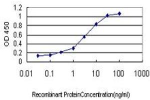 Detection limit for recombinant GST tagged BCL2L14 is approximately 0. (BCL2L14 anticorps  (AA 1-327))