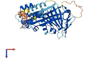 AlphaFold protein structure predicition of Mouse Recombinant Serpinb2 Protein, UniprotID P12388