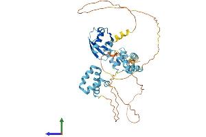 AlphaFold protein structure predicition of Human Recombinant RAD23B Protein, UniprotID P54727