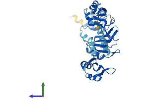 AlphaFold protein structure predicition of Human Recombinant PABPC4L Protein, UniprotID P0CB38