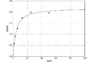 Complement Factor P (CFP) ELISA Kit