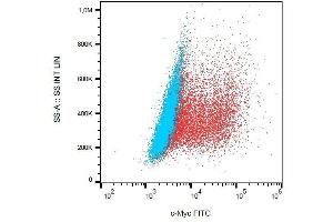 Detection of transfected LST-1-c-Myc in HEK-293 cells (red) compared with nontransfected HEK-293 cells (blue) using mouse monoclonal anti-c-Myc (9E10) FITC. (Myc Tag anticorps  (C-Term) (FITC))