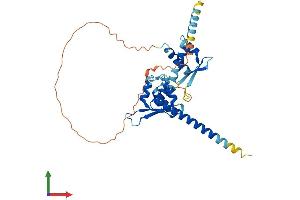 AlphaFold protein structure predicition of Human Recombinant MAGEB18 Protein, UniprotID Q96M61