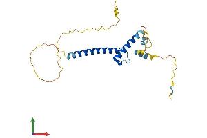 AlphaFold protein structure predicition of Human Recombinant TCF15 Protein, UniprotID Q12870
