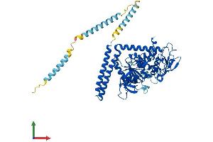AlphaFold protein structure predicition of Human Recombinant FUT8 Protein, UniprotID Q9BYC5