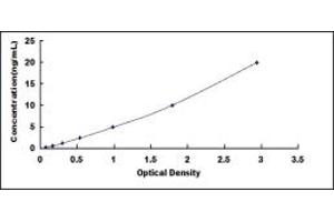 Typical standard curve (PER1 Kit ELISA)