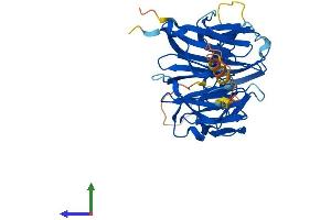 AlphaFold protein structure predicition of Mouse Recombinant Rccd1 Protein, UniprotID Q8BTU7