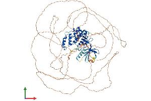 AlphaFold protein structure predicition of Mouse Recombinant Cdkl5 Protein, UniprotID Q3UTQ8