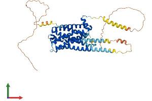 AlphaFold protein structure predicition of Mouse Recombinant Htr2a Protein, UniprotID P35363