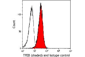 Flow Cytometry (FACS) image for anti-Transcription Factor EB (TFEB) (AA 426-476) antibody (ABIN7453326) (Recombinant TFEB anticorps  (AA 426-476))