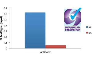 ChIP of 2ug ABIN185266 with 1ug DHT-treated HEC50 chromatin using the Chromatrap® spin column sonication kit (Protein G) measuring FKBP5 enrichment.