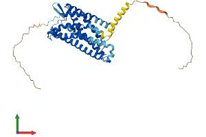 AlphaFold protein structure predicition of Human Recombinant LPAR4 Protein, UniprotID Q99677
