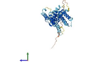 AlphaFold protein structure predicition of Mouse Recombinant Rhbdl2 Protein, UniprotID A2AGA4