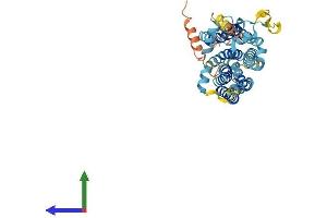 AlphaFold protein structure predicition of Human Recombinant TMEM184B Protein, UniprotID Q9Y519