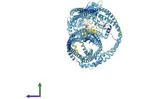 AlphaFold protein structure predicition of Mouse Recombinant Smc4 Protein, UniprotID Q8CG47