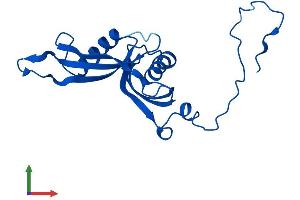 AlphaFold protein structure predicition of Human Recombinant RPL18A Protein, UniprotID Q02543
