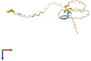 AlphaFold protein structure predicition of Human Recombinant POLR2M Protein, UniprotID Q6EEV4