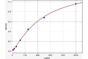 Vascular Endothelial Growth Factor B (VEGFB) ELISA Kit