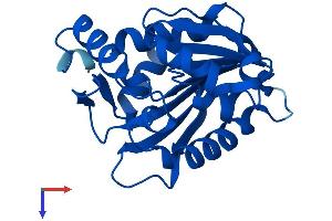 AlphaFold protein structure predicition of Human Recombinant NTMT1 Protein, UniprotID Q9BV86