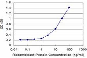 anti-M-Phase phosphoprotein 9 (MPHOSPH9) (AA 922-1031) antibody