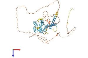 AlphaFold protein structure predicition of Mouse Recombinant Sohlh2 Protein, UniprotID Q9D489