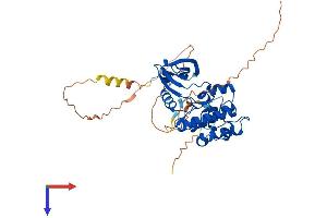 AlphaFold protein structure predicition of Mouse Recombinant Aurka Protein, UniprotID P97477
