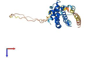 AlphaFold protein structure predicition of Mouse Recombinant Bcl2l1 Protein, UniprotID Q64373