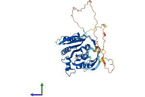 AlphaFold protein structure predicition of Mouse Recombinant Mettl22 Protein, UniprotID Q8R1C6