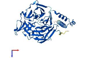 AlphaFold protein structure predicition of Mouse Recombinant Klhdc1 Protein, UniprotID Q80YG3