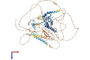 AlphaFold protein structure predicition of Human Recombinant YY1AP1 Protein, UniprotID Q9H869