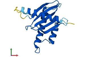 AlphaFold protein structure predicition of Mouse Recombinant Trappc2l Protein, UniprotID Q9JME7 (TRAPPC2L Protein (AA 1-139) (His tag))